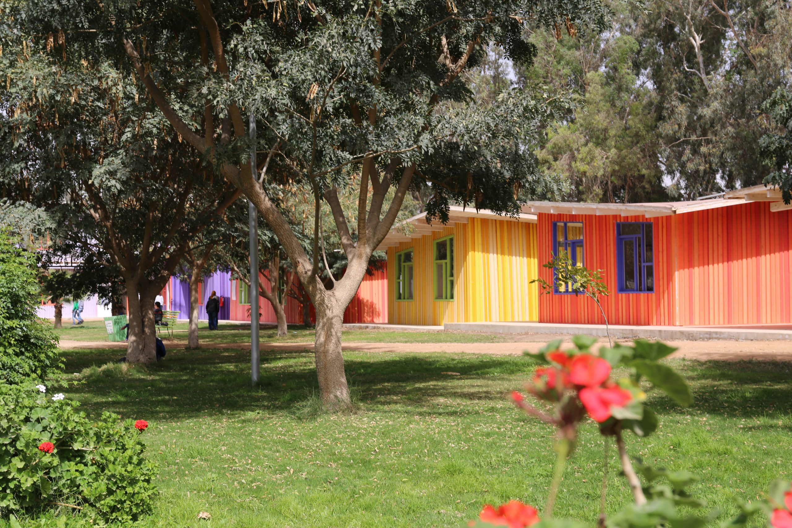 Heliopolis University Core Program in Languages, Art, and Humanities