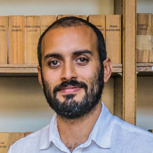 Mahdi Abdelwahab